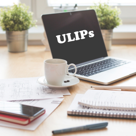 How ULIPs Work and Things to Know Before Investing in One